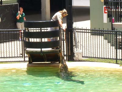 Australia Zoo day trip from Brisbane